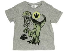 Sun City Dětské tričko Jurský svět Dinosauři T-rex šedé Velikost: 98 (3 roky)
