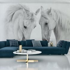 Muralo Fototapeta do ložnice KONĚ zvířata 3D 90x60cm