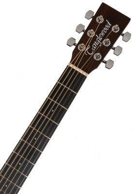  krásná přírodní akustická kytara Tanglewood TWCR D se standardní menzurou běžné hraní výuka na kytaru matná povrchová úprava otevřené mechaniky vrstvené tělo retro blues kytara 
