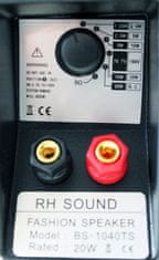RHsound BS-1040TS/B, 100 V reproskříňka