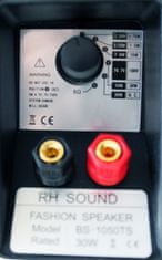 RHsound BS-1050TS/B, 100 V reproskříňka