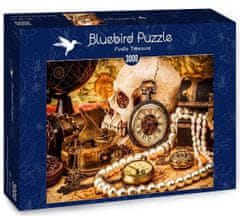 Blue Bird Puzzle Pirátský poklad 3000 dílků