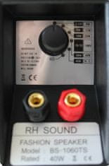 RHsound BS-1060TS/B, 100 V reproskříňka