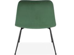 Danish Style Židle Hiena (SET 2 ks), zelená