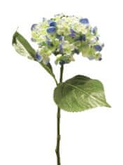 C7.cz Hortenzie - Hydrangea Mata hari modrá 49cm