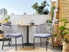 Beliani Sada 2 zahradních hliníkových židlí šedých PALMI