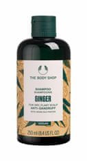 The Body Shop 250ml ginger anti-dandruff, šampon