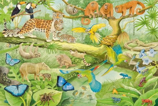 Schmidt Puzzle Zvířata v džungli 100 dílků