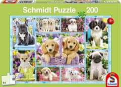 Schmidt Puzzle Štěňátka 200 dílků