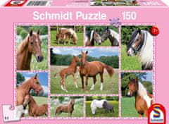 Schmidt Puzzle Nádherní koně 150 dílků