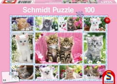 Schmidt Puzzle Koťata 100 dílků