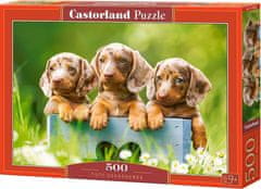 Castorland Puzzle Roztomilí jezevčíci 500 dílků