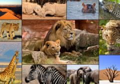 Grafika Puzzle Zvířata Afriky