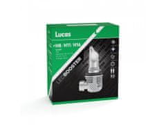 Lucas Lucas 12V/24V H8/H11/H16 LED žárovka PGJ19-1/2/3, sada 2 ks 6500K