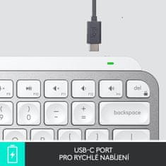 Logitech MX Keys Mini, US/INT, šedá (920-010499)