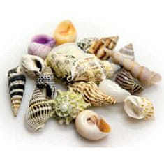 HOBBY aquaristic HOBBY Sea Shells Set S 20ks- dekorace do akvária