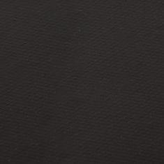 Vidaxl Jezírková fólie černá 5 x 6 m PVC 0,5 mm
