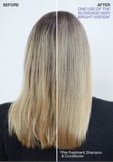 Redken Šampon pro blond vlasy Blondage High Bright (Shampoo) (Objem 300 ml)
