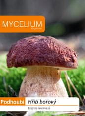Mycelium Hřib borový 10g - podhoubí