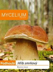Mycelium Hřib smrkový 10g - podhoubí