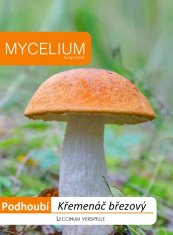 Mycelium Křemenáč březový 10g - podhoubí
