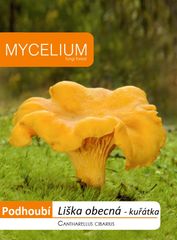 Mycelium Liška obecná (kuřátka) 10g - podhoubí