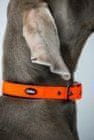 Nobby Obojek pro psa z PVC Cover L oranžový
