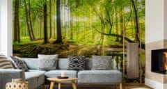 Muralo Fototapeta do obývacího pokoje LES stromy řeka ve 3D 315x210