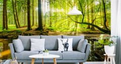 Muralo Fototapeta do obývacího pokoje LES stromy řeka ve 3D 315x210