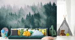 Muralo Fototapeta do obývacího pokoje les v mlze KRAJINKA 3D