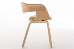 BHM Germany Jídelní židle Kingston, textil, přírodní / zelená