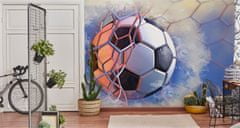 Muralo Fototapeta do obývacího pokoje fotbal branka 3D 360x240