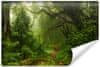 Fototapeta TROPICKÝ les stromy příroda 3D 360x240