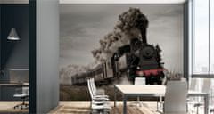 Muralo Fototapeta 3D Lokomotiva vlak do kanceláře