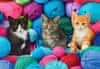 Puzzle Koťata v obchodě s přízí 1000 dílků