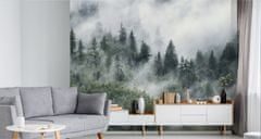 Muralo Fototapeta do obývacího pokoje zamlžený horský LES 3D 135x90