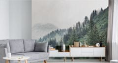 Muralo Fototapeta do ložnice hory LES v mlze 3D 180x120