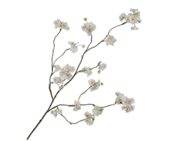 C7.cz větev květu bílá/zelená V127 cm