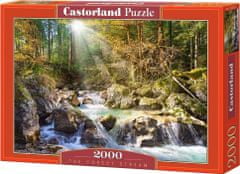 Castorland Puzzle Říčka v lese 2000 dílků