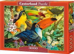 Castorland Puzzle Barevní tukani 3000 dílků