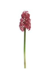 C7.cz Hyacint - hyacinthus Plouye beauty/růžový 47cm