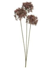 C7.cz Česnek okrasný - Allium (divoký) - Wild allium spray hnědý V63 cm
