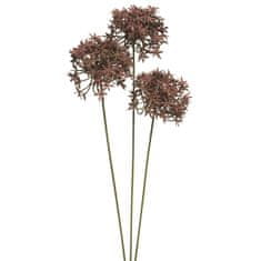C7.cz Česnek okrasný - Allium (divoký) - Wild allium spray hnědý V63 cm