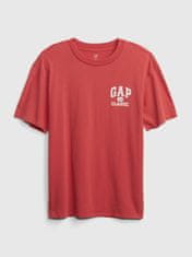 Gap Teen organic tričko logo Classic 8