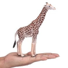 Mojo Fun figurka Žirafa samec