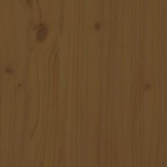 Greatstore Toaletní regál medově hnědý 63x26x171 cm masivní borové dřevo