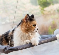 InnovaGoods Závěsná hamaka pro kočky Catlax
