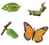 figurky životní cyklus Motýl