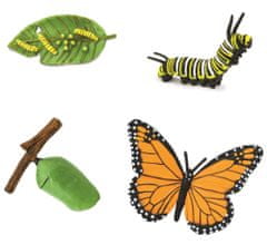 Animal Life figurky životní cyklus Motýl