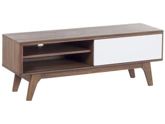 Beliani Dřevěný televizní stolek s odkládací zásuvkou BUFFALO